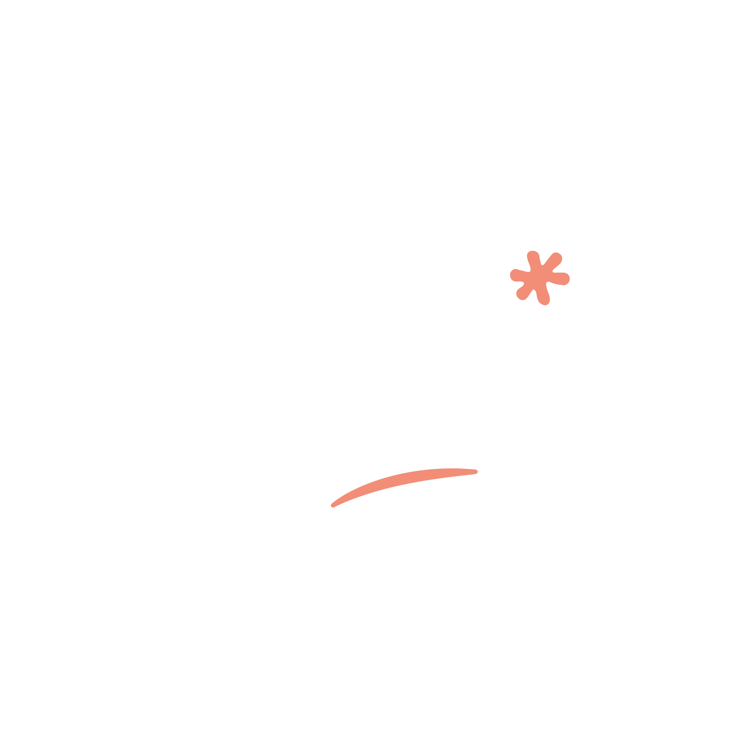 logo julie terrier